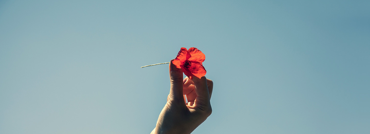 Hand håller röd blomma mot blå himmel.